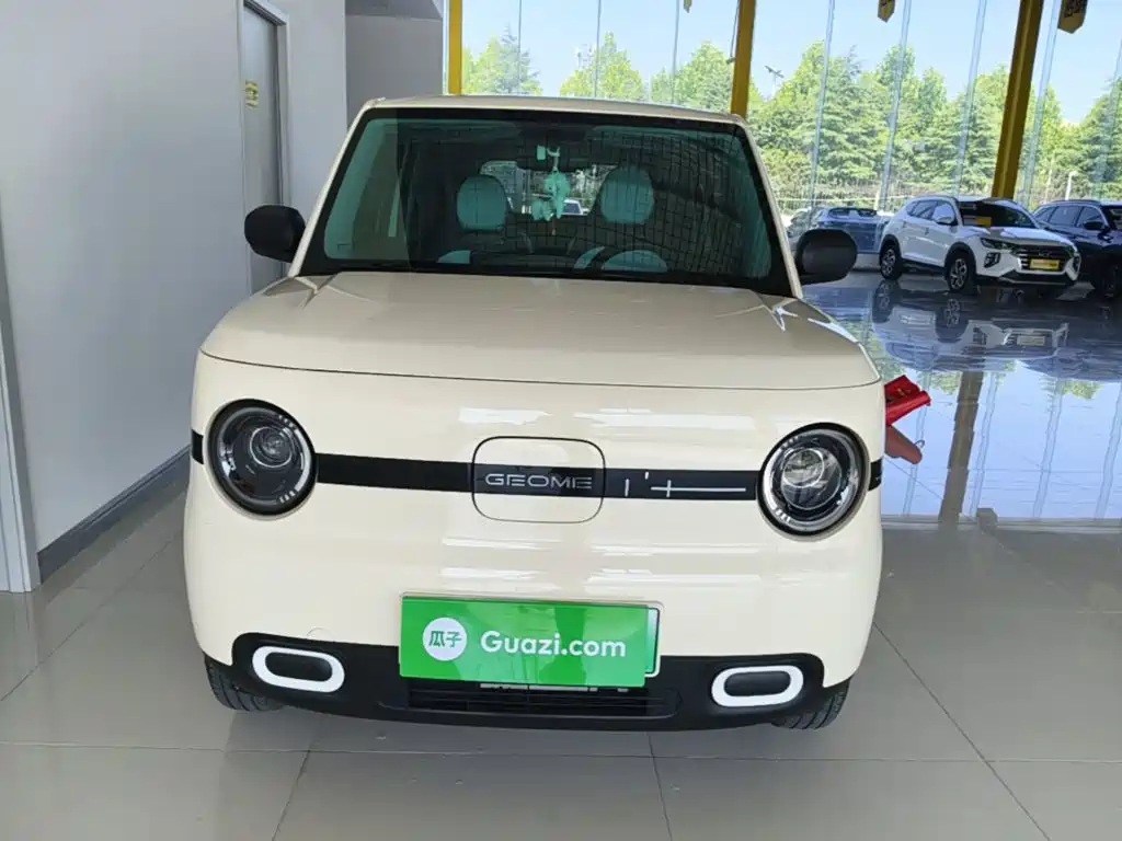 Geely Galaxy Panda 2025