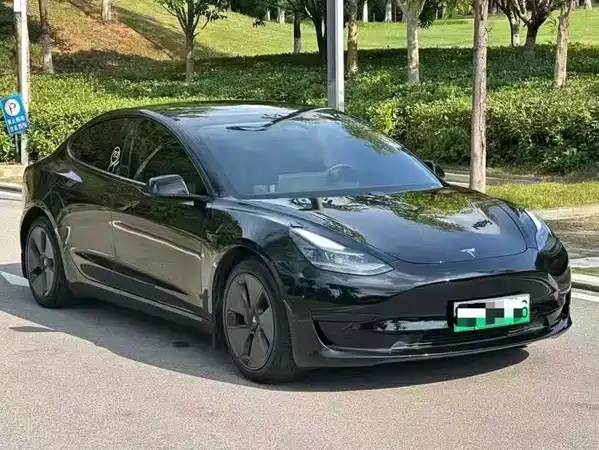 Tesla Model 3 2021