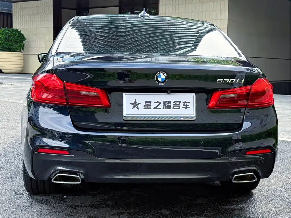 BMW 5 Series 2019 — фото 4