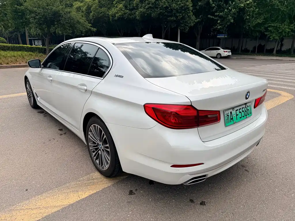 BMW 5 Series New Energy 2019
