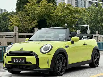 MINI MINI 2022