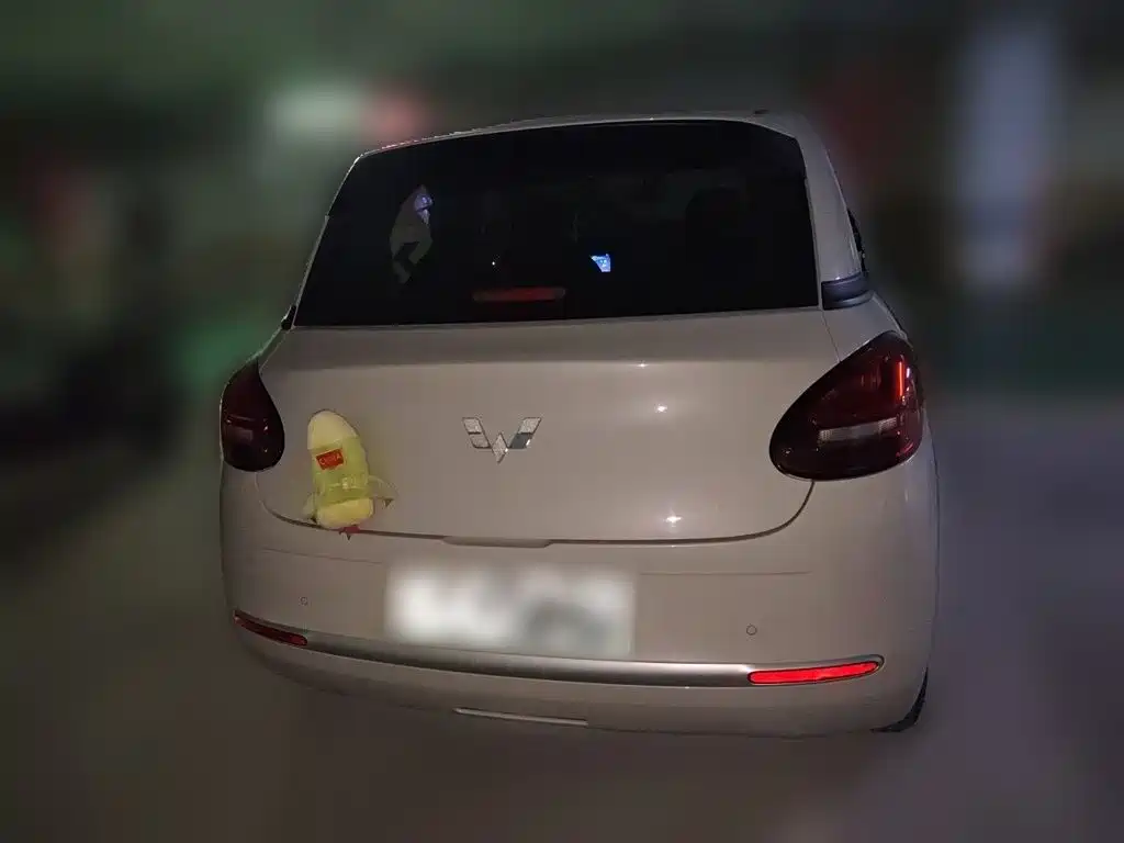 Wuling Bingo 2024