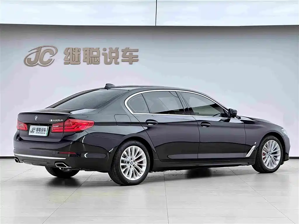 BMW 5 Series New Energy 2019