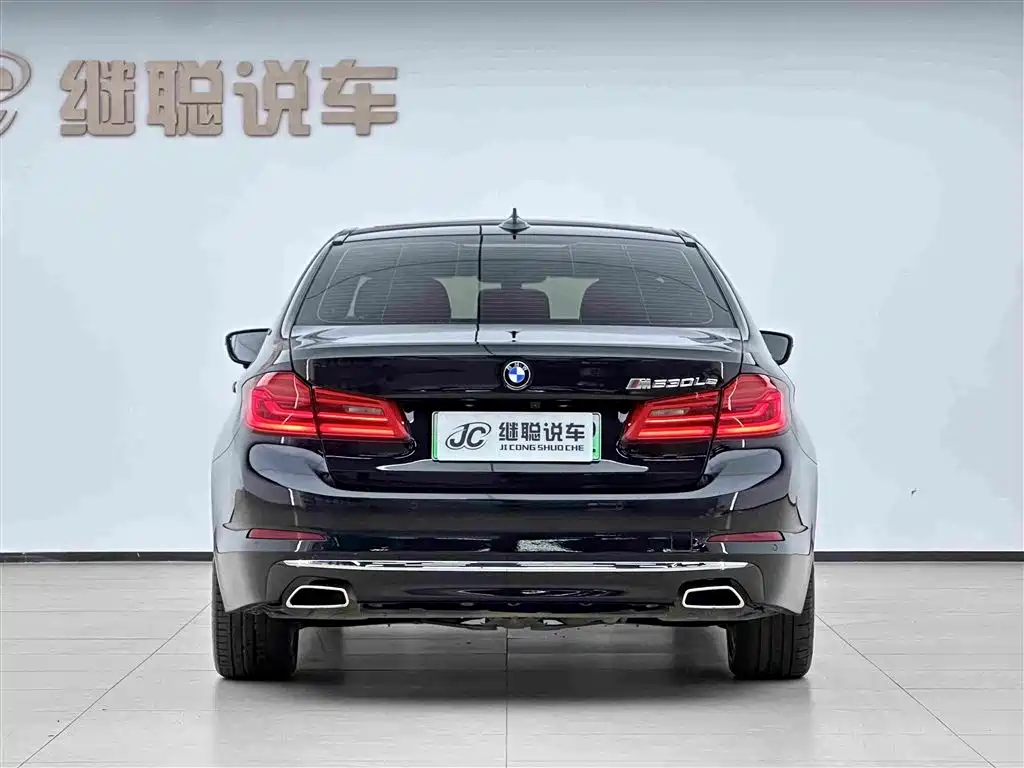 BMW 5 Series New Energy 2019