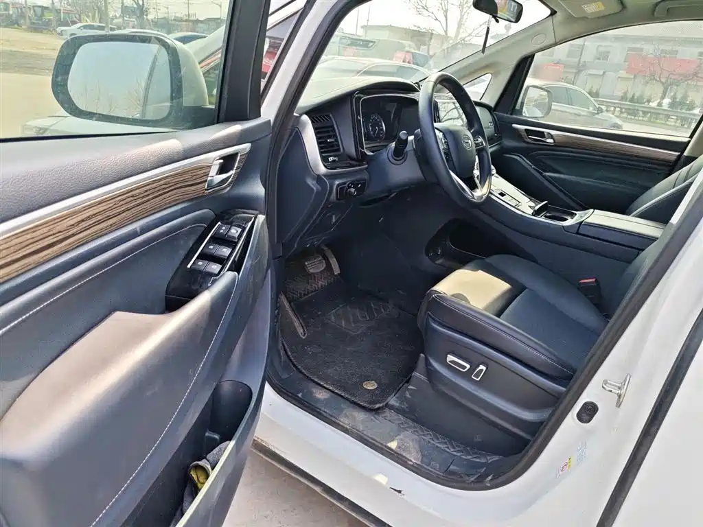 GAC Motor Trumpchi M8 2024 — фото 16