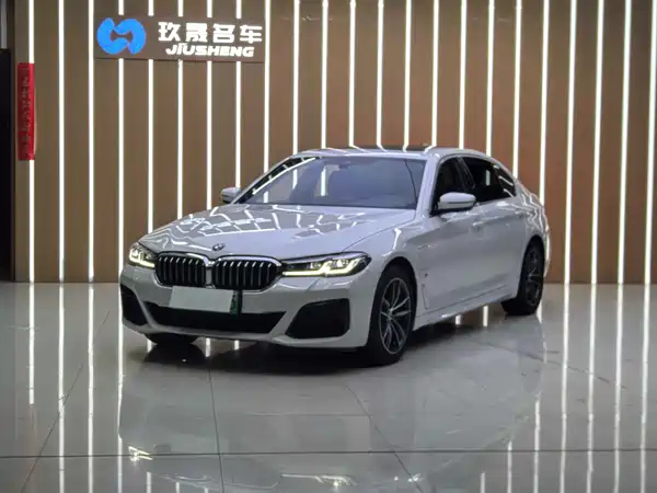 BMW 5 Series New Energy 2021