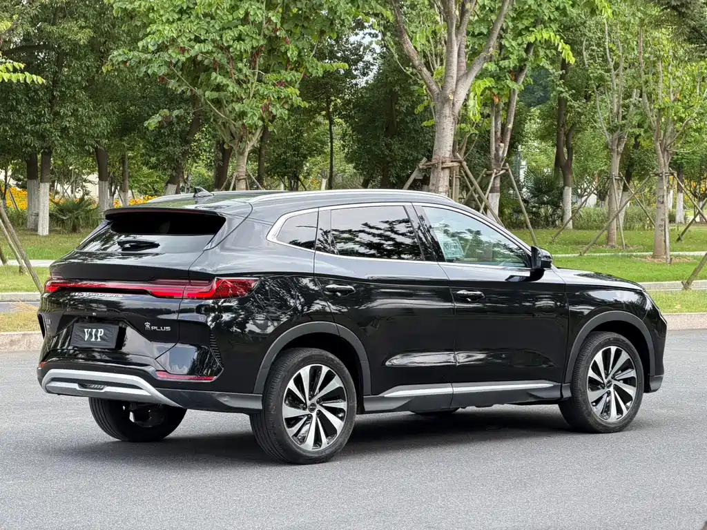 BYD PLUS New Energy 2025 — фото 13