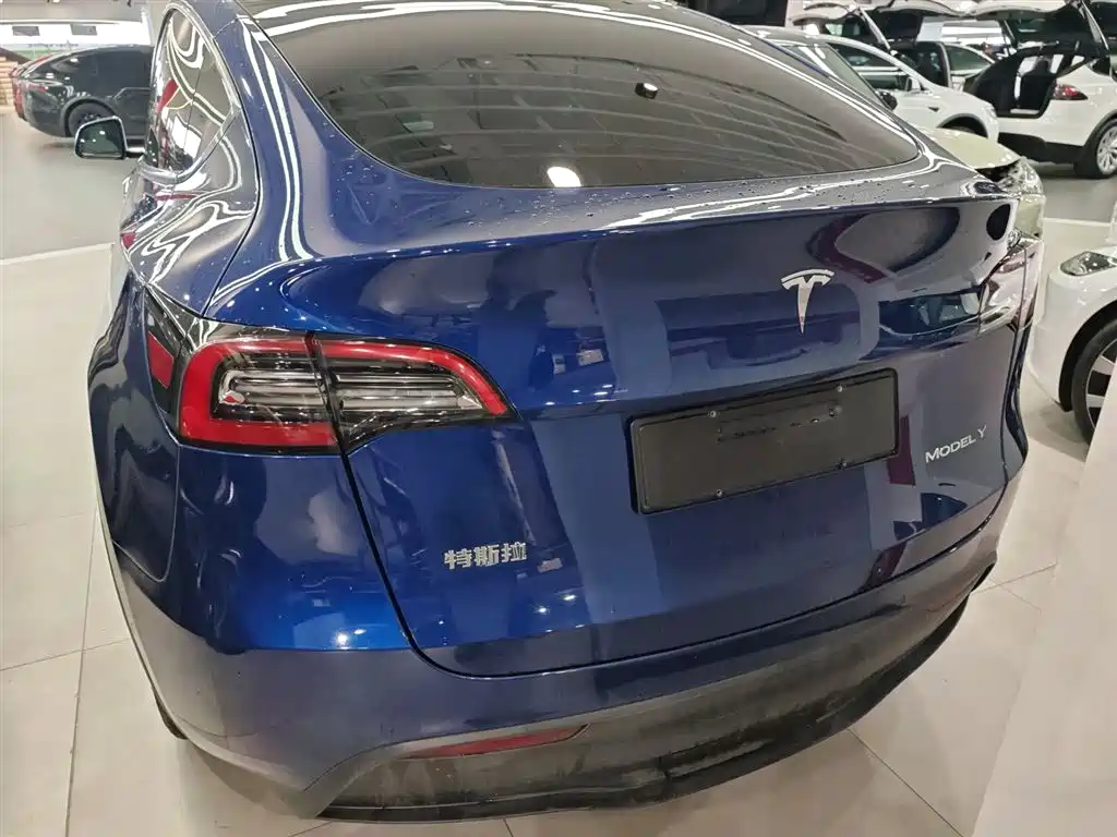 Tesla Model Y 2021 — фото 4