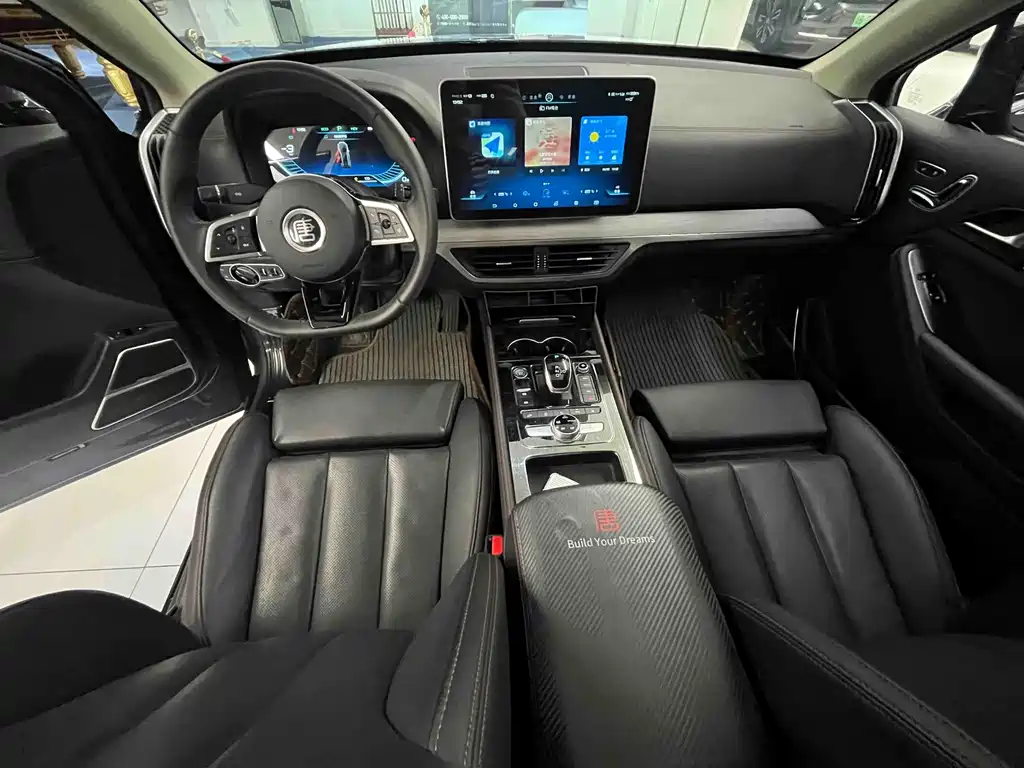 BYD Tang New Energy 2019 — фото 10