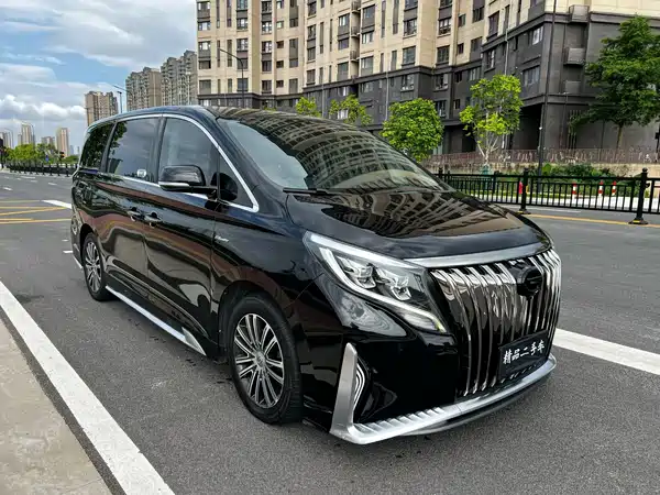 GAC Trumpchi M8 2021