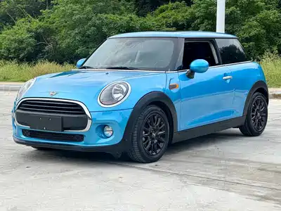 MINI MINI 2019