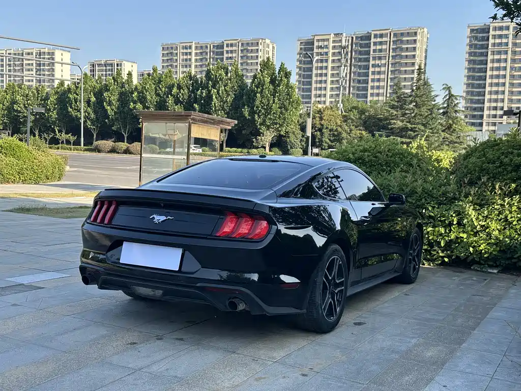 Ford Mustang 2019 — фото 9