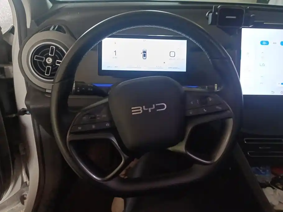 BYD Sealion 05 DM-i 2025 — фото 15