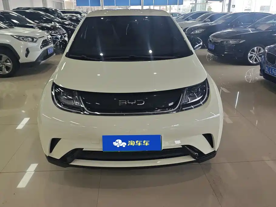BYD Dolphin 2024