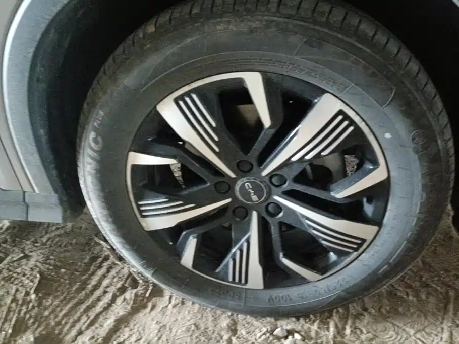 BYD Sealion 05 DM-i 2025 — фото 6
