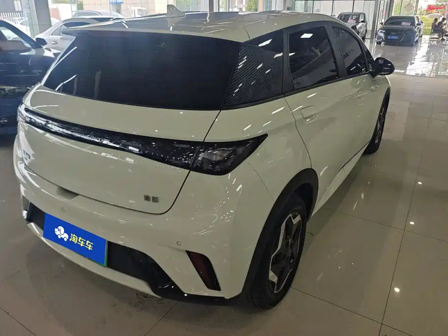 BYD Dolphin 2024
