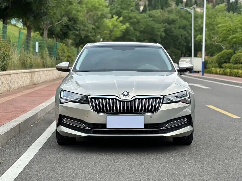 Skoda Speedy 2023