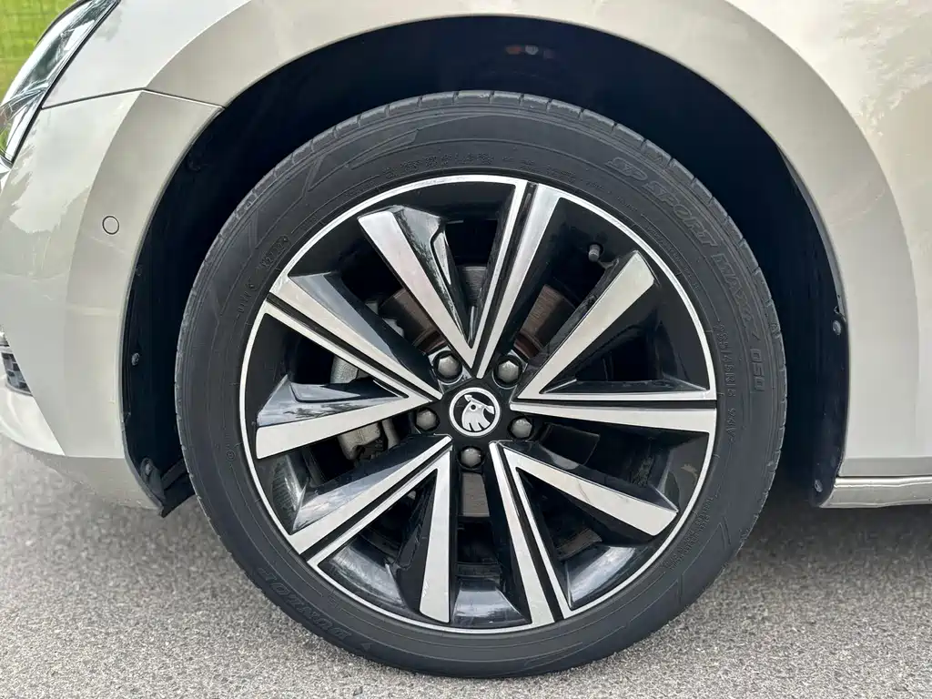 Skoda Speedy 2023 — фото 13