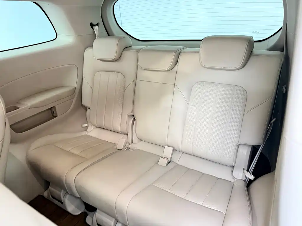 GAC Motor Trumpchi M8 2019 — фото 12