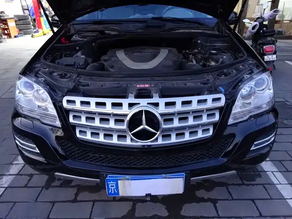 Mercedes-Benz M-Class 2010