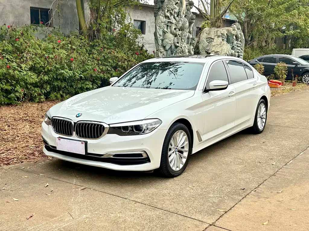 BMW 5 Series 2019 — фото 1