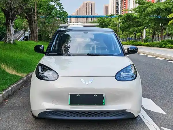 Wuling Bingo 2024