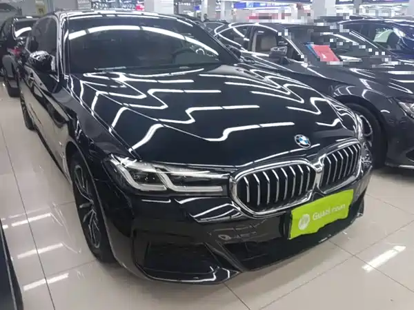 BMW 5 Series New Energy 2021