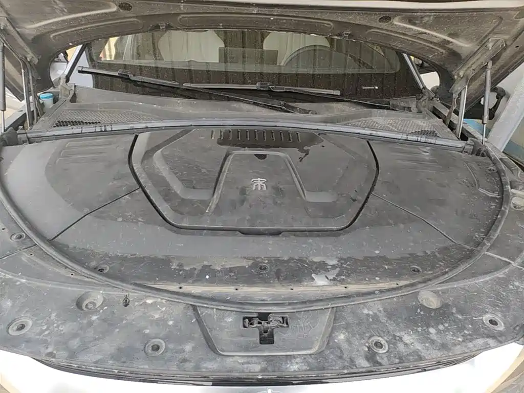 BYD PLUS New Energy 2022 — фото 20