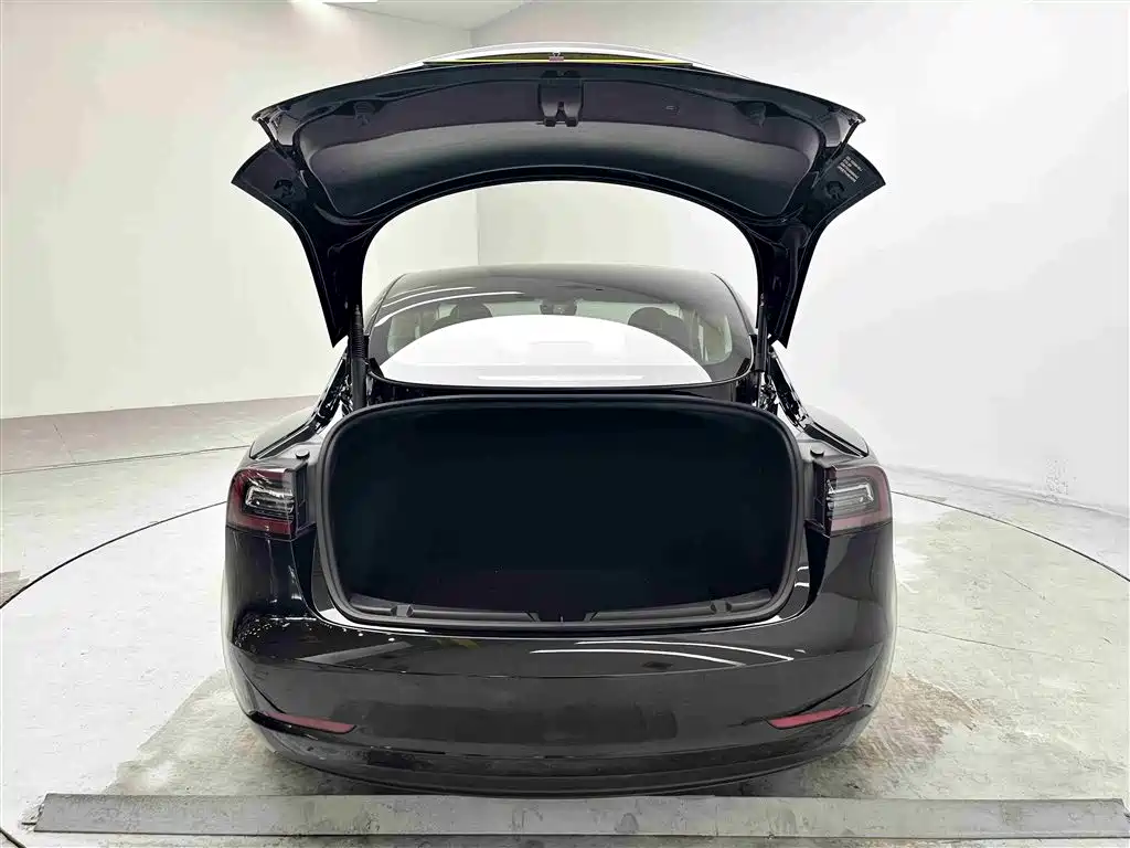 Tesla Model 3 2021 — фото 15