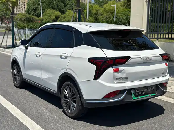 Neta V 2022