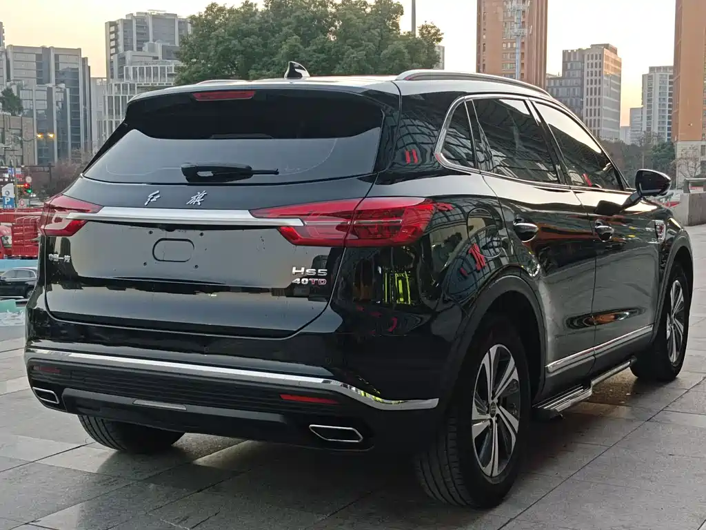 Hongqi HS5 2021 — фото 8