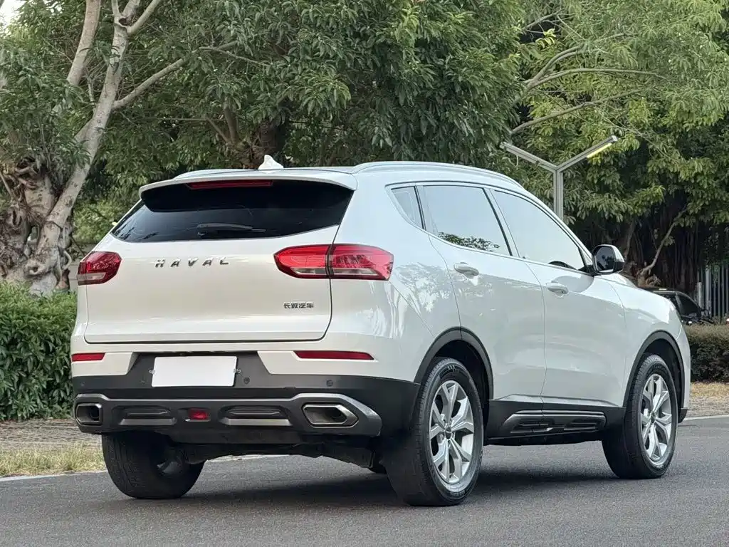 Haval H6 2019