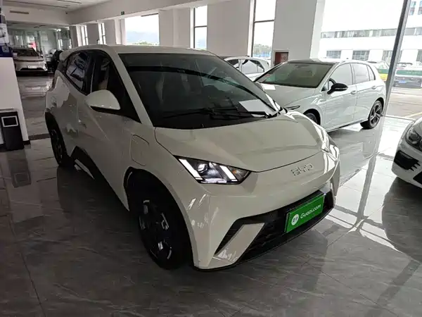 BYD Seagull 2024