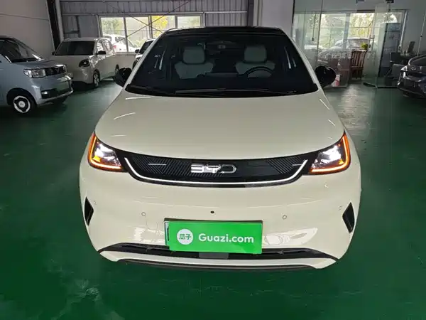 BYD Dolphin 2025
