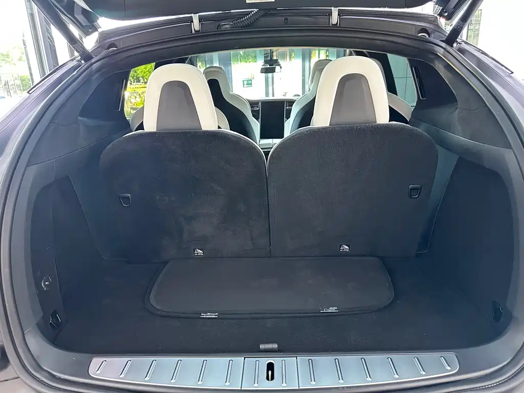 Tesla Model X 2019 — фото 19