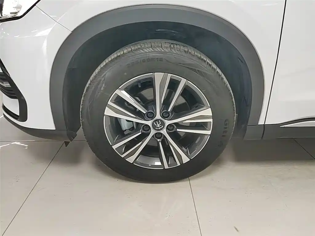 BYD Pro New Energy 2023 — фото 23