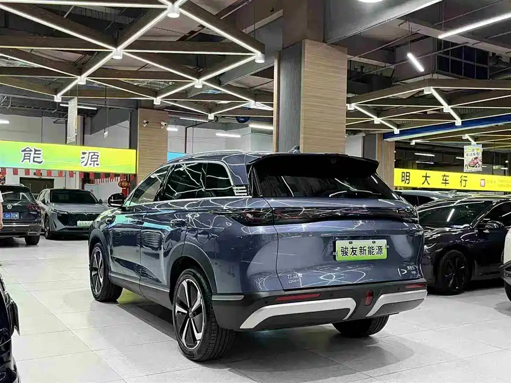 BYD Sealion 07 DM-i 2025 — фото 4