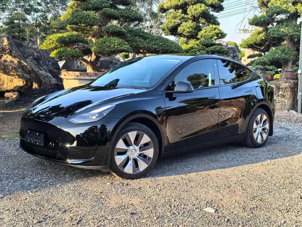 Tesla Model Y 2023 — фото 1