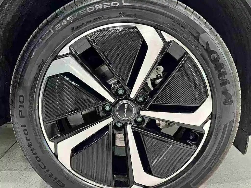 BYD Sealion 07 DM-i 2025 — фото 15
