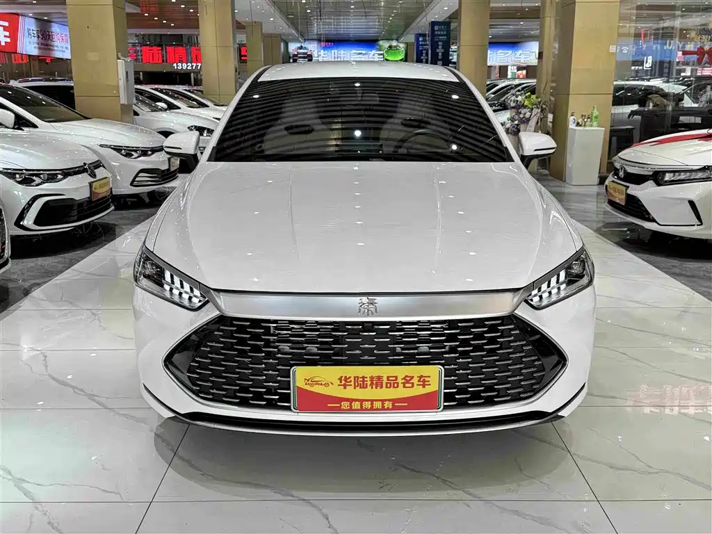 BYD Qin PLUS 2024 — фото 2