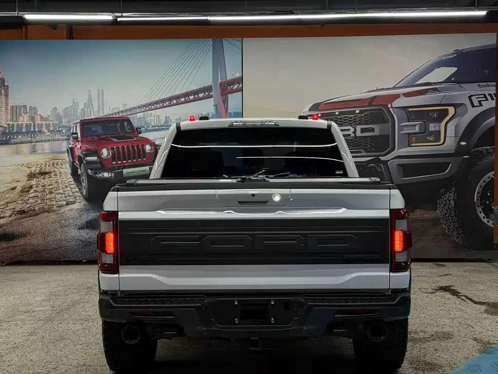 Ford F-150 Raptor 2024 — фото 8