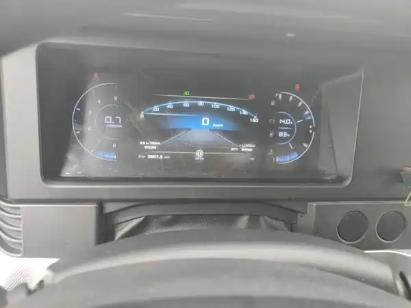 Dongfeng Yufeng 2024