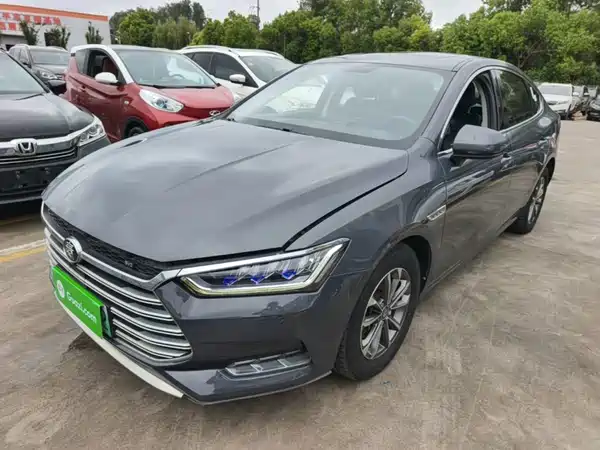 BYD Qin Pro New Energy 2021