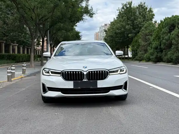 BMW 5 Series 2021