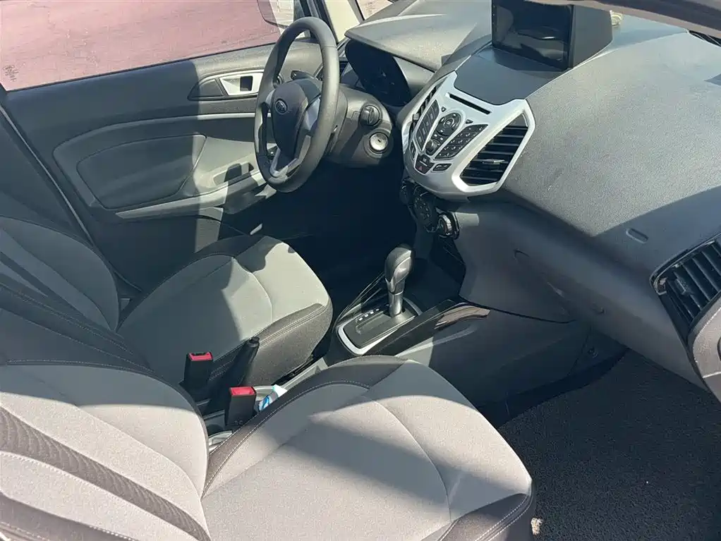 Ford Ecosport 2017 — фото 13