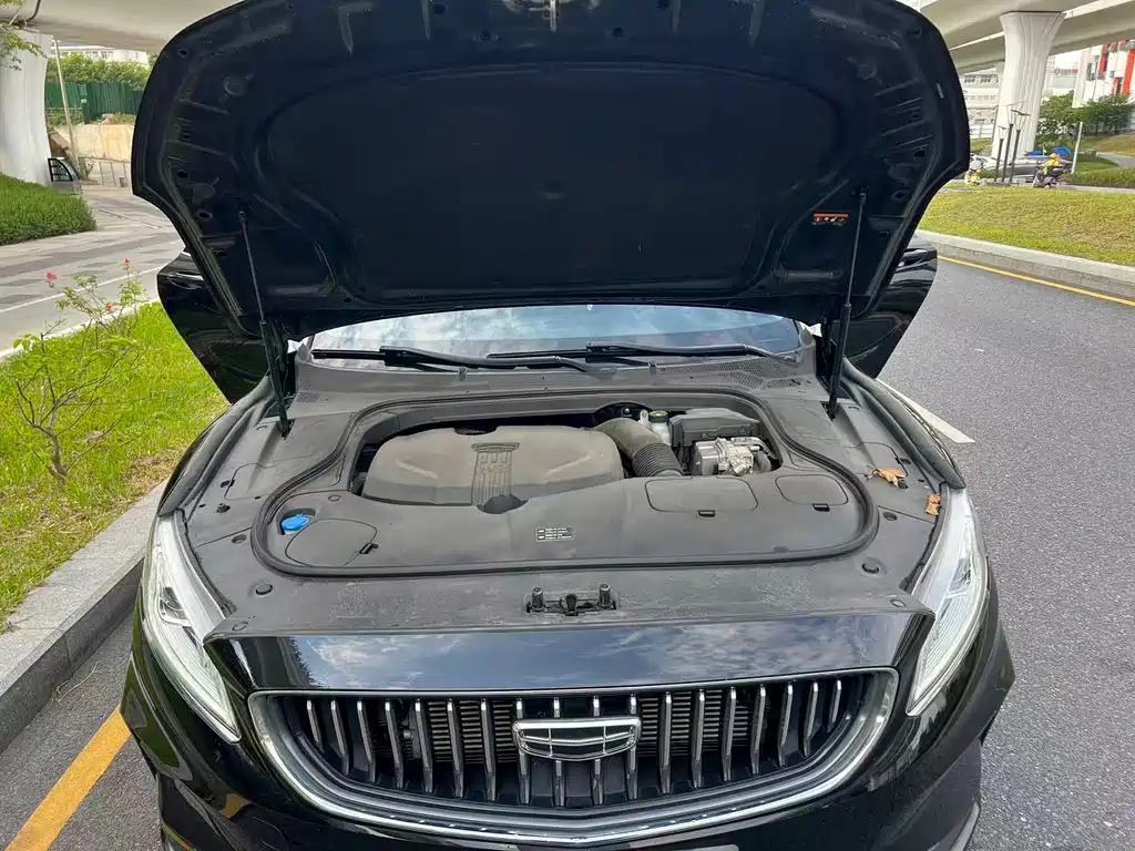 Geely Borui Hybrid 2020 — фото 14