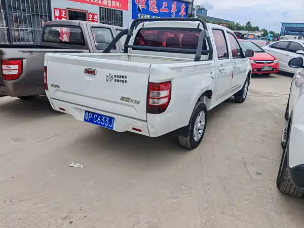 Changan Shenqi F30 2019