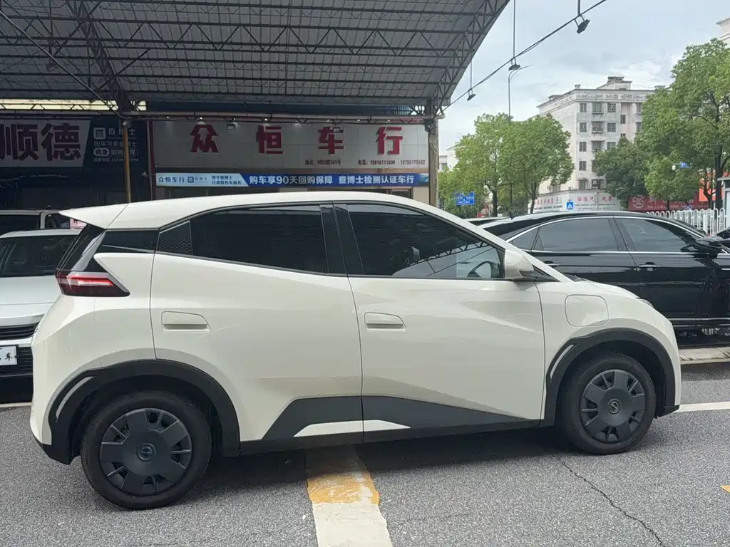 BYD Seagull 2025