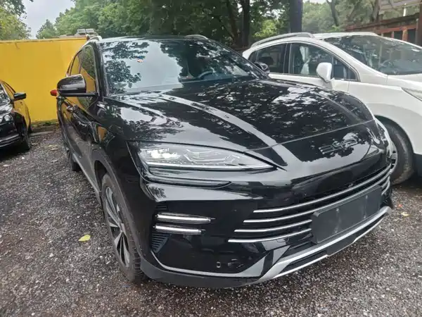 BYD Song PLUS New Energy 2024
