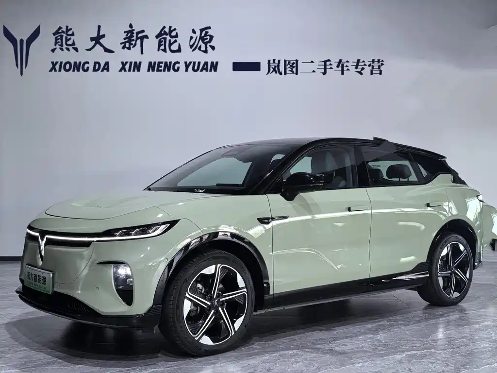 VOYAH Zhiyin 2025